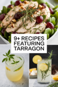 recipes-using-tarragon-bbbbb-81156