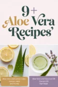 recipes-with-aloe-vera-bbbbb-59772