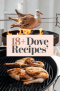 recipes-with-dove-bbbbb-91238