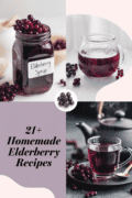 recipes-with-elderberries-bbbbb-48195