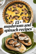 recipes-with-mushroom-and-spinach-bbbbb-51395