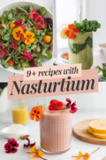 recipes-with-nasturtium-bbbbb-97417