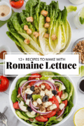 recipes-with-romaine-lettuce-bbbbb-99505