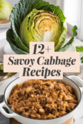 recipes-with-savoy-cabbage-bbbbb-55326