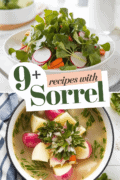recipes-with-sorrel-bbbbb-60996