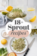 recipes-with-sprouts-bbbbb-16713