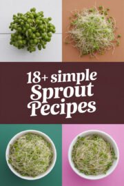 sprout-ccccc-18361
