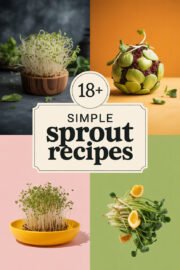 sprout-ccccc-87497
