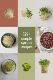 18+ Simple Sprout Recipes That Will Make Your Meals Shine with Fresh Flavor! sprout-ccccc-95910