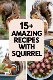 squirrel-ccccc-58894