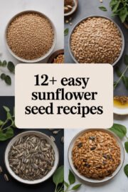 sunflower-seed-recipes-ccccc-49140