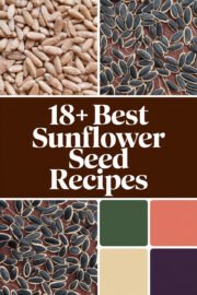 sunflower-seeds-ccccc-