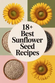18+ Best Sunflower Seed Recipes That Will Brighten Your Day and Delight Your Taste Buds! sunflower-seeds-ccccc-57337