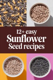 sunflower-seeds-ccccc-98041