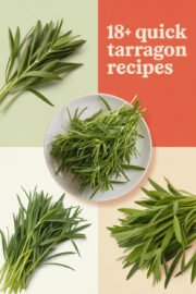 18+ Quick Tarragon Recipes For Your Meals Today! tarragon-ccccc-46175