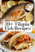 tilapia-fish-recipes-bbbbb-10020