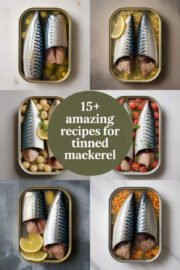 tinned-mackerel-ccccc-80593
