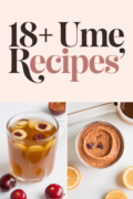 ume-recipes-bbbbb-67214