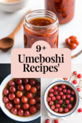 umeboshi-recipes-bbbbb-98454