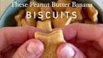 3 Ingredient Peanut Butter Banana Biscuits Recipe