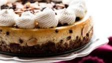 Amaretto Cheesecake