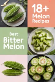 bitter-melon-ccccc-31525