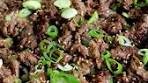 Bulgogi (Korean BBQ Beef) Recipe link in profile or visit www ...