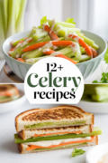 celery-recipes-bbbbb-62413