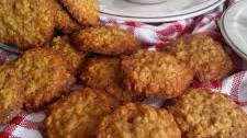 Cocoa Oatmeal Cookies
