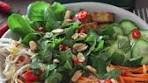 Delicious Vietnamese Salad Bowl with Konjac Noodles