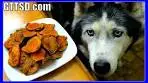 DIY SWEET POTATO DOG TREATS | Snow Dogs Snacks 39 ...