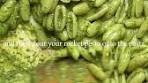 Easy Rocket and Walnut Pesto Pasta Recipe