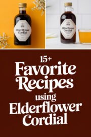 15+ Favorite Recipes Using Elderflower Cordial That Will Brighten Your Day! elderflower-cordial-ccccc-