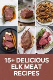 15+ Delicious Elk Meat Recipes That Will Make Your Dinner Extraordinary! elk-meat-ccccc-15314