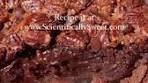 Espresso Chocolate Pecan Pie! Switch up your routine this ...