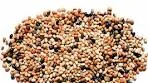 Fagiolina del Trasimeno: il legume dai mille colori | • Fagiolina ...