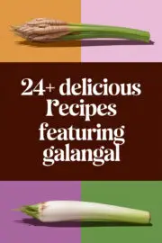 galangal-ccccc-19623