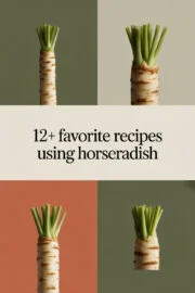 12+ Favorite Recipes Using Horseradish That Will Spice Up Your Meals! horseradish-ccccc-32537