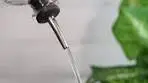 How to make blueberry infused tequila 🫐🤩 What would you ...