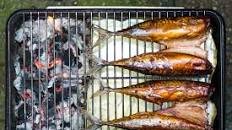 How to smoke mackerel