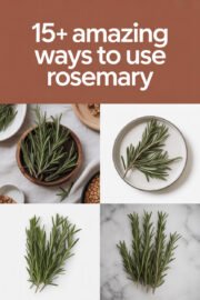 leftover-rosemary-ccccc-12796