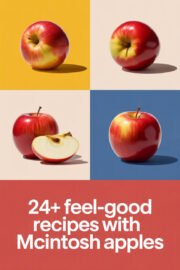 mcintosh-apples-ccccc-78400