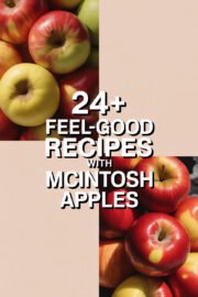 mcintosh-apples-ccccc-87432