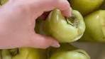 Middle Eastern Stuffed Peppers When making epraxs which ...