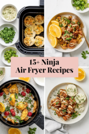 ninja-air-fryer-recipes-generated-29632