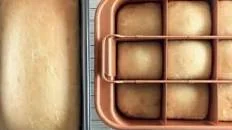 Potato Flake Amish Friendship Bread