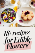 recipes-for-edible-flowers-bbbbb-12276