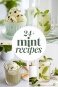 recipes-for-mint-bbbbb-13670