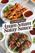 recipes-using-ayam-satay-sauce-bbbbb-60832