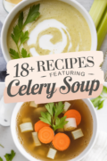 recipes-using-celery-soup-bbbbb-17286